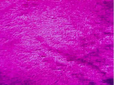 Velours de Panne  Fuchsia