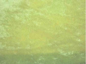  Velours de Panne  Fluor Geel  