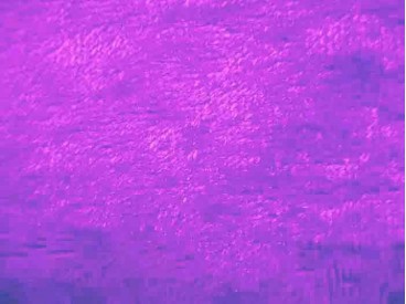  Velours de Panne  Lila  