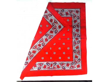 Boerenzakdoek rood met bloemetjes  BZ4