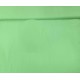 Taslan lichtgroen  Praktisch winddicht en waterdicht. 100% nylon  1.45 mtr breed  60 gram/m2