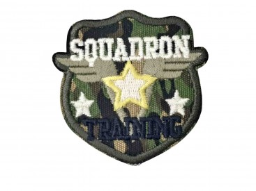 Legerapplicatie schild met tekst en ster  Legergroen met goud/witte ster en 2 witte sterren  Squadron training  Ongeveer 6x6cm