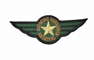 Legerapplicatie airwing met gouden ster.  Legergroen  Airwing Squadron Training  Ongeveer 9,3 x 3,5 cm