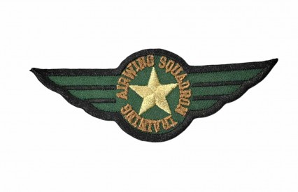 Legerapplicatie airwing met gouden ster.  Legergroen  Airwing Squadron Training  Ongeveer 9,3 x 3,5 cm