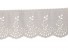 Katoen kant creme 100 mm 170 cm
