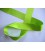 Satijnlint Lime felle kleur 40 mm breed OP is OP