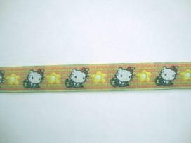 Sierband Lime/zalm met poes en bloem  12mm