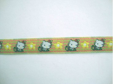 Sierband Lime/zalm met poes en bloem  12mm