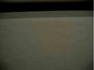 Een donkerbruine silicon poplin van Polytex. 100% katoen 1.45 mtr. br. 140gr/m2