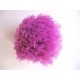 Een paars kleurig pom pom bolletje met een doorsnee van 7 cm.  Leuk voor het garneren van mutsen capes of kleding.