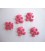 Beren knoop.  Roze beer 15mm. kdk27