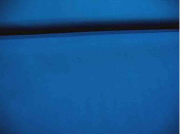 Cotton voile, een dunne, soepele kobalt katoen.  100% katoen  1.40 meter breed  70gr./m2
