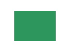 japonrits 50 cm. grasgroen