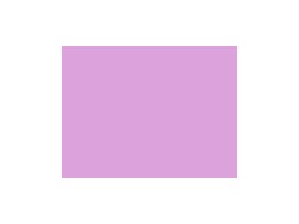 Japonrits 60 cm. lila