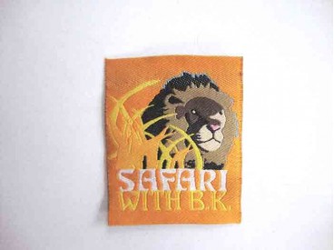 Leeuw Safarie with  BK