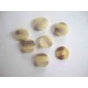 Serie knoop Creme/bruin gevlekt 20mm. sk912