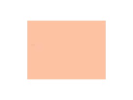 Optilon Japonrits 30 cm. roze 749