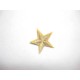 Applicatie Glitter ster Goud GSG