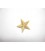 Applicatie Glitter ster Goud GSG