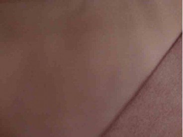 Softshell Effen Donkerbruin 7004-58N