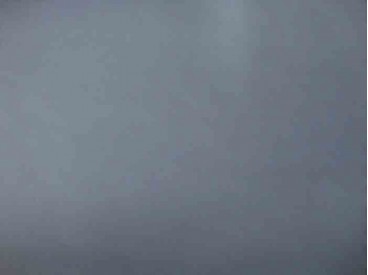 Softshell Effen Donkergrijs 7004-68N