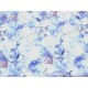 Decoratiestof Digital Delftsblauw Vogel, bloem 1332-02N